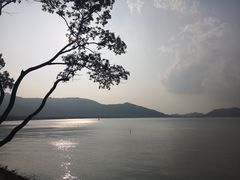 -宁波浙东大竹海景区