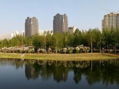 -群力丁香公园