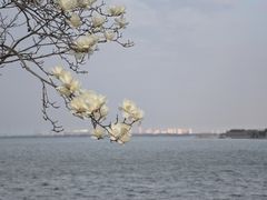 -阳澄湖半岛旅游度假区