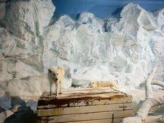 -珠海长隆海洋王国