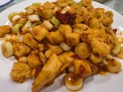 -听涛雅苑百味饺子老家菜馆