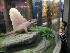 -国家自然博物馆