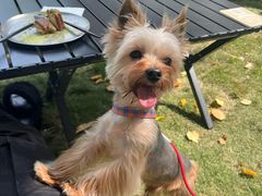 -J Create城市露营咖啡·简餐·宠物(上海动物园店)