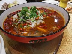 -蔡阿水羊肉店