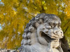 -北京石刻艺术博物馆(五塔寺)