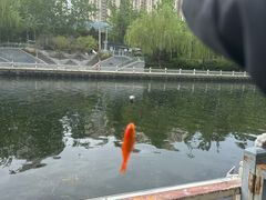 -蒲黄榆(地铁站)