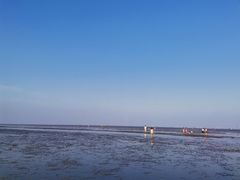 -南汇嘴观海公园