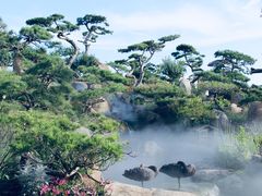 -罗红摄影艺术馆