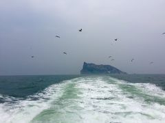 -长岛万鸟岛