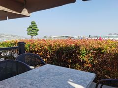 -香港深井掂檔烧鹅茶餐厅(海韵城店)