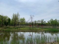 -东郊湿地公园