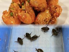 -美未居·老字号·地道顺德菜·桑拿鸡·鱼生(容桂店)