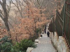 -紫金山山顶公园