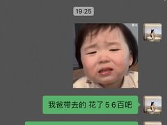 -爱牧宠物医院·猫专科·骨科·内窥镜(甪直店)