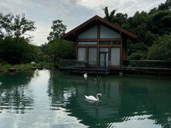 -杭州开元森泊度假乐园