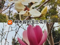 -中山市树木园