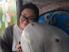 -悉尼海洋生物水族馆