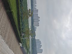 -武汉琴台钢琴博物馆