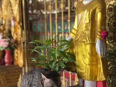 -ခြောက်ထပ်ကြီးရွှေသာလျောင်းဘုရားကြီး