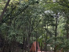 -洛阳白云山景区