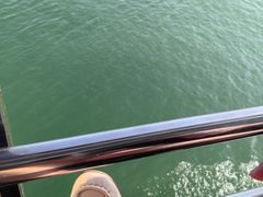 -南湾湖