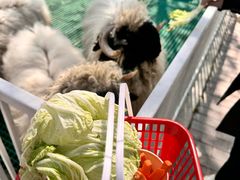 -水上乐园·欢乐世界