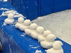 -长沙湘江冰雪世界