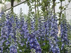 -西安电影制片厂