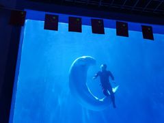 -多彩贵州城极地海洋世界