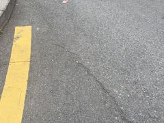 -索拉古贝(义乌北苑店)