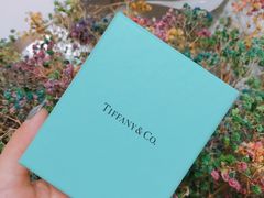 -Tiffany & Co.蒂芙尼
(南京德基广场店)