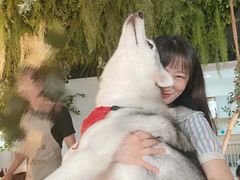 -Husky Go! 哈士奇体验馆·宠物咖啡厅狗咖