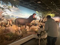 -陕西自然博物馆