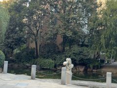 -合肥滨湖国家森林公园