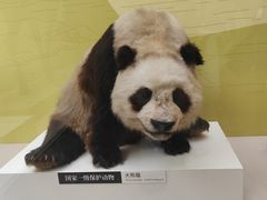 -国家自然博物馆