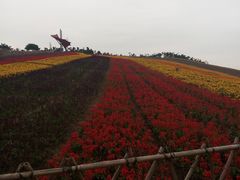 android_upload_pic-东部华侨城