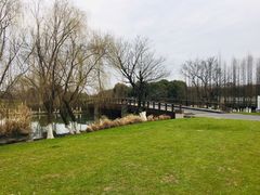 -九里河湿地公园