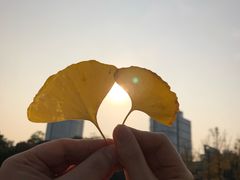 -两江幸福广场