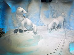 -海合安武汉极地海洋公园