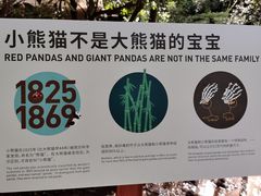 -常识咖啡common sense(春熙路店)