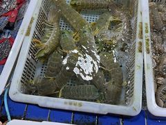 水产区-霞涌市场海鲜摆卖区