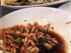 -沪碟·精菜坊(闵行店)