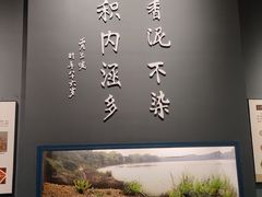 -柳州白莲洞洞穴科学博物馆