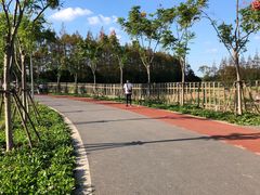 -上海长兴岛郊野公园