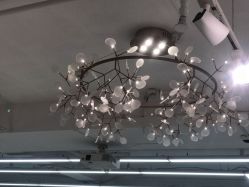 -潘多拉Hairsalon