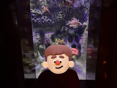 -太平洋海底世界