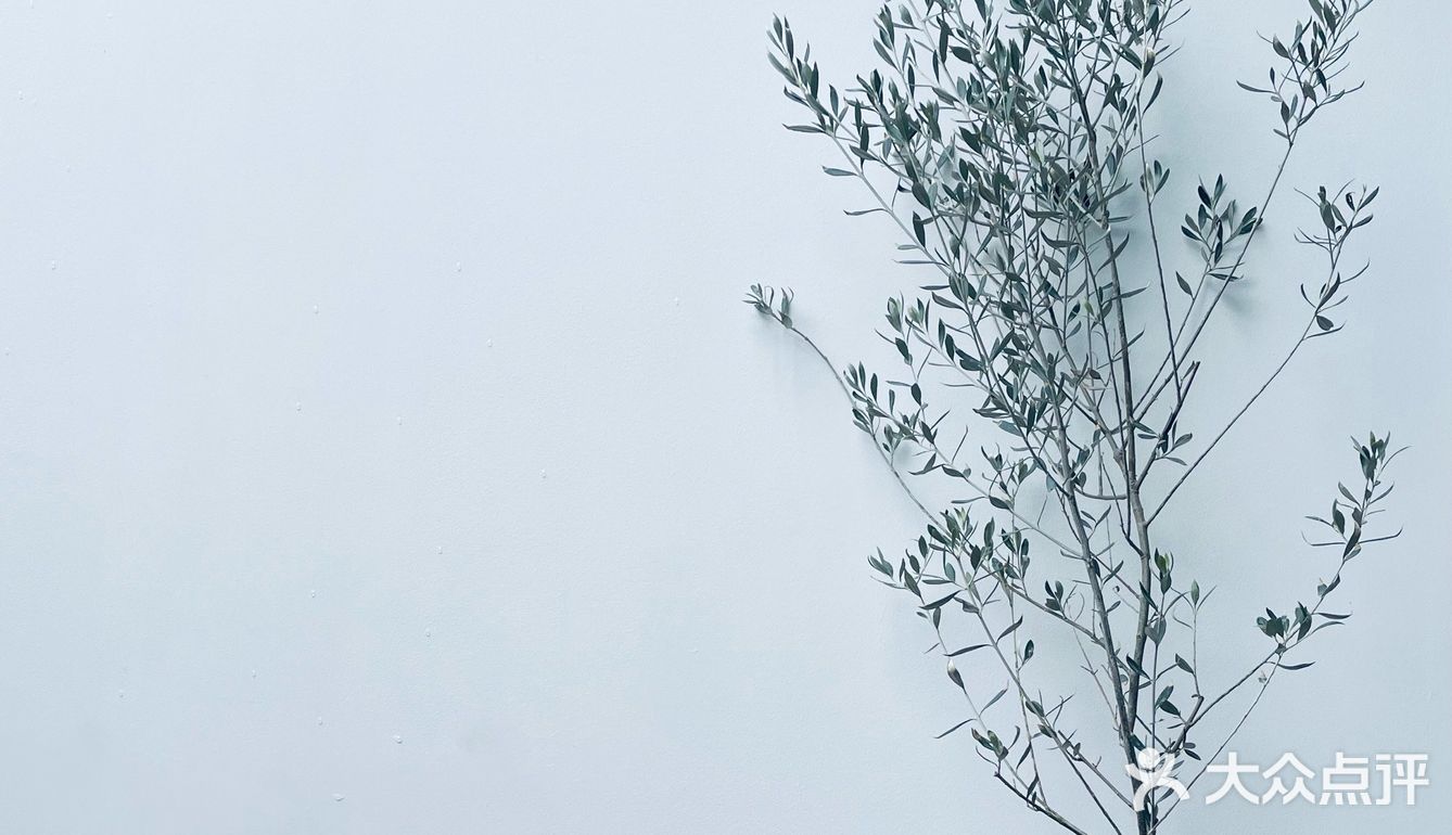 云径•天竹