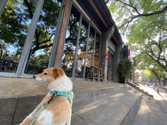 -zarah(鼓楼店)