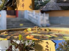 -灵谷景区