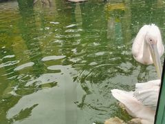 -灵玲国际马戏城